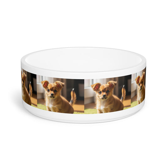 Ceramic Pet Bowl – 16 oz Dog Feeding Bowl