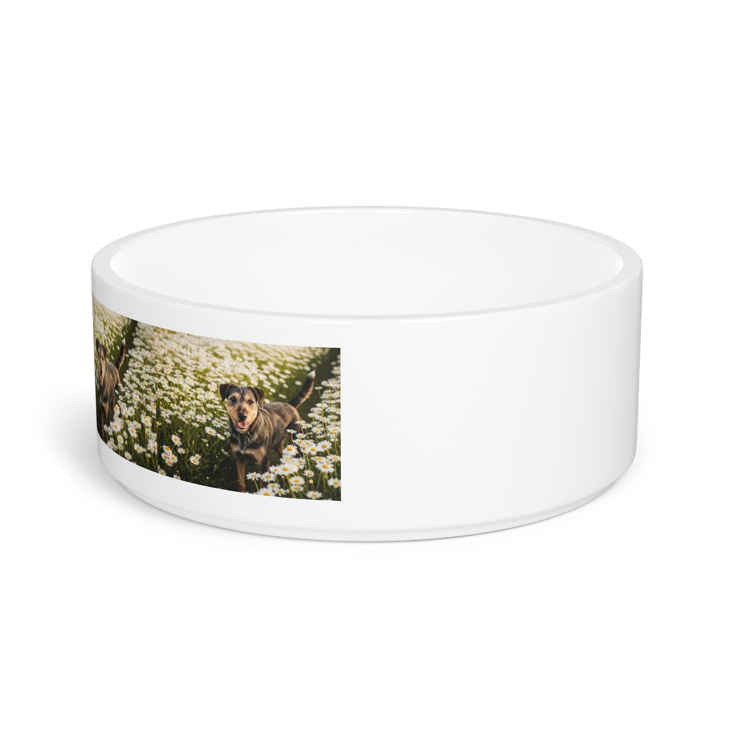 Gamelle en céramique pour animaux de compagnie – Gamelle de 47 cl pour chien