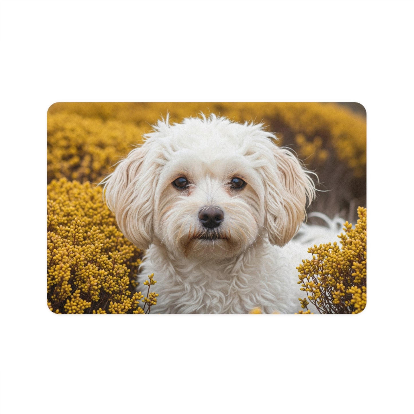 Tapis antidérapant pour animaux de compagnie – Tapis d'alimentation étanche pour chiens