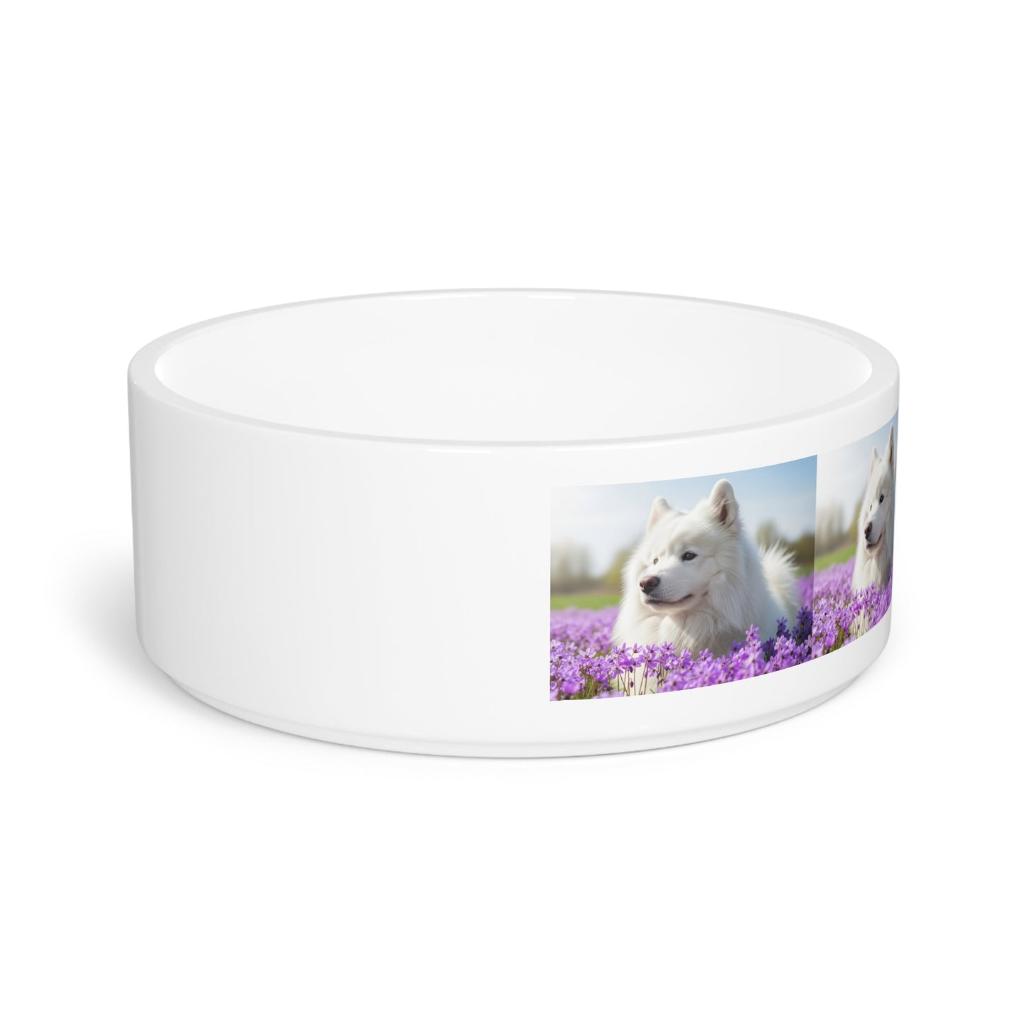 Ceramic Pet Bowl – 16 oz Dog Feeding Bowl