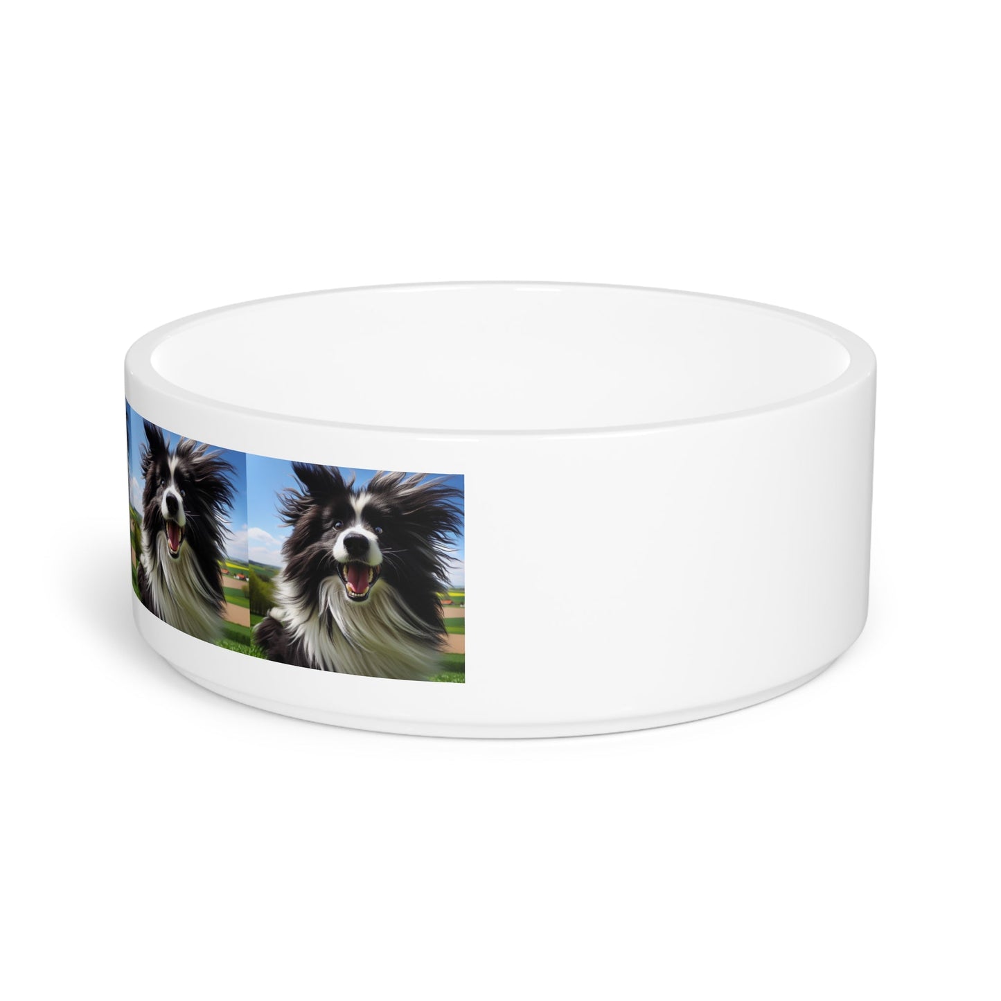 Ceramic Pet Bowl – 16 oz Dog Feeding Bowl