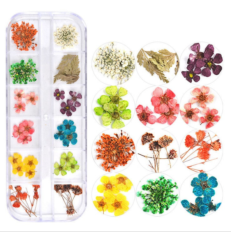 Nail Art Dried Flowers