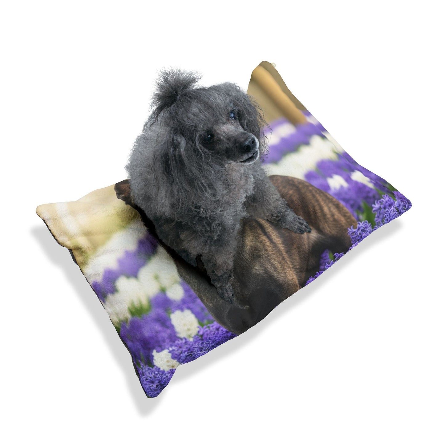 Hundebett – Plüsch-Hundebett, 3 Größenoptionen