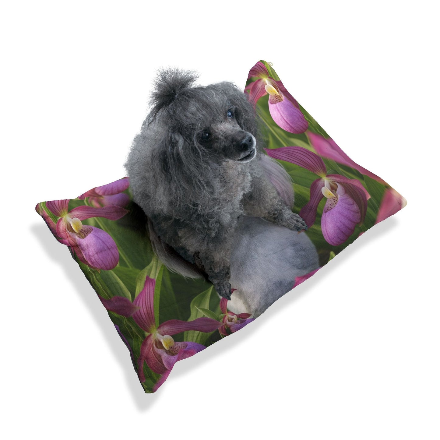Lit pour animaux – Lit moelleux pour chien, 3 tailles disponibles