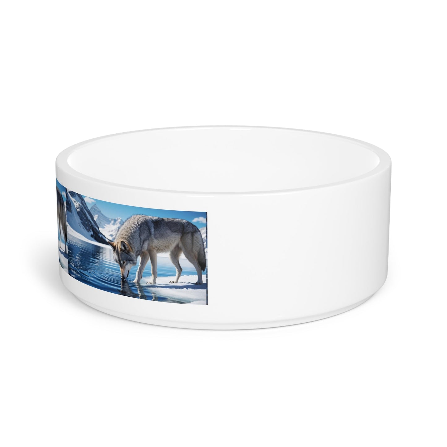 Gamelle en céramique pour animaux de compagnie – Gamelle de 47 cl pour chien