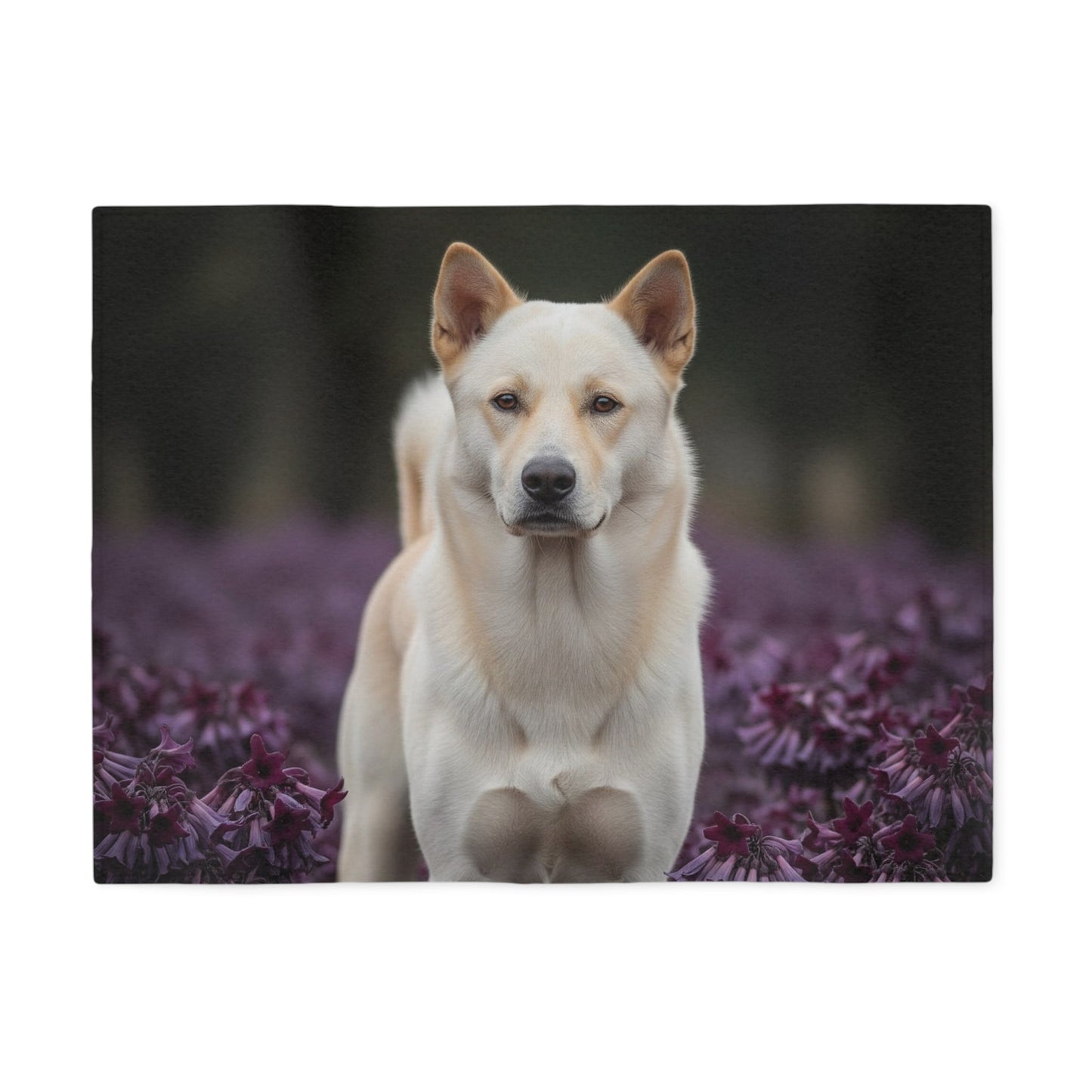 Sweatshirt Blanket – Plush Fleece Throw, 2 Size Options
