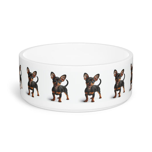 Ceramic Pet Bowl – 16 oz Dog Feeding Bowl
