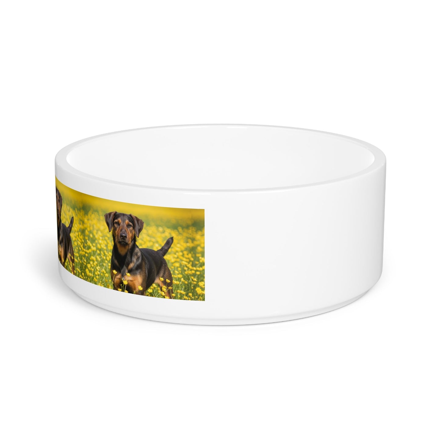 Ceramic Pet Bowl – 16 oz Dog Feeding Bowl