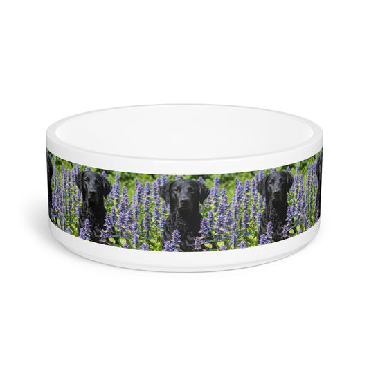 Ceramic Pet Bowl – 16 oz Dog Feeding Bowl