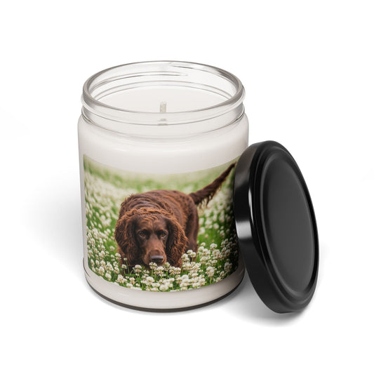 Bougie en cire de soja – Bougie parfumée en pot