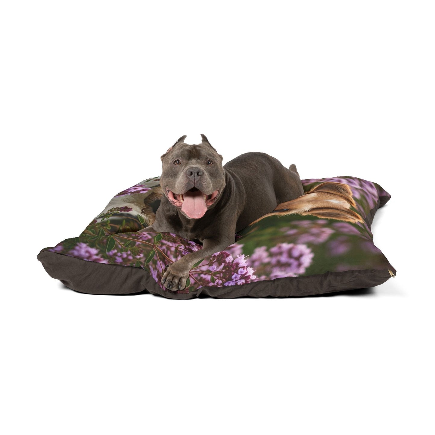 Pet Bed – Plush Dog Bed, 3 Size Options
