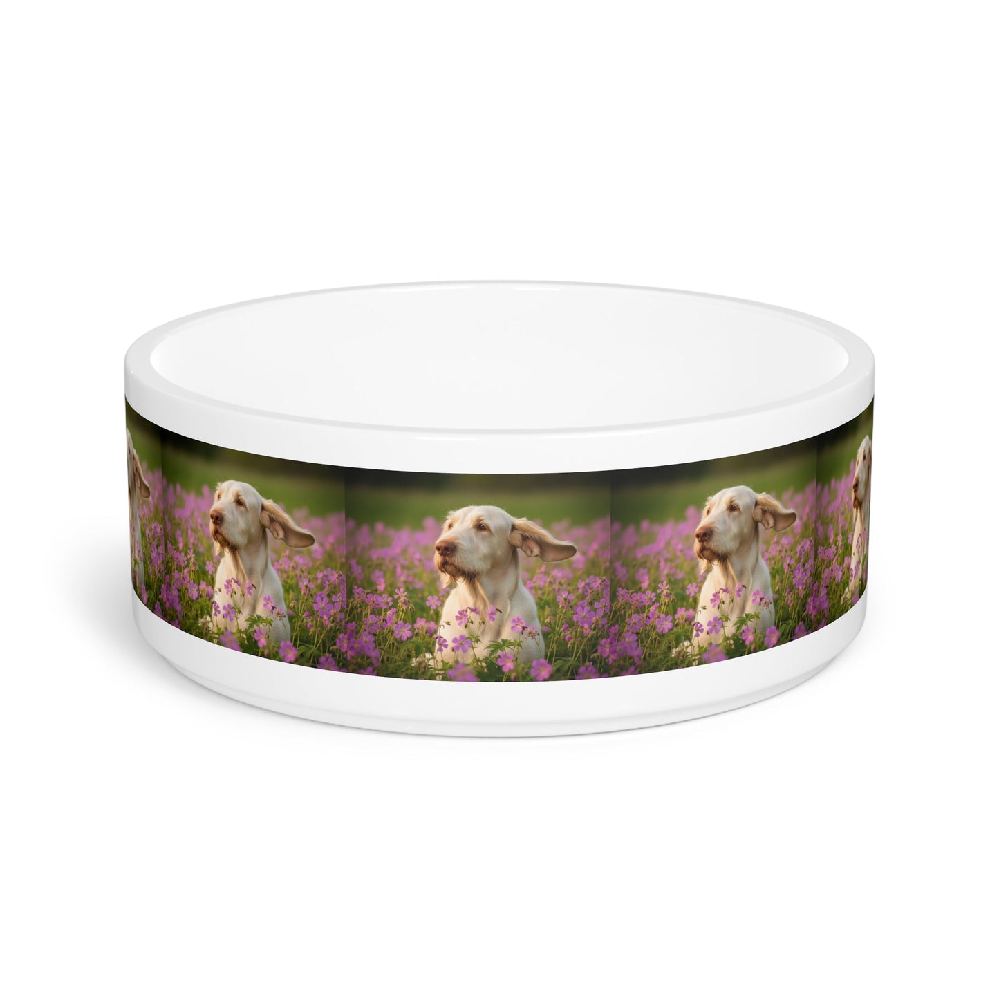 Ceramic Pet Bowl – 16 oz Dog Feeding Bowl