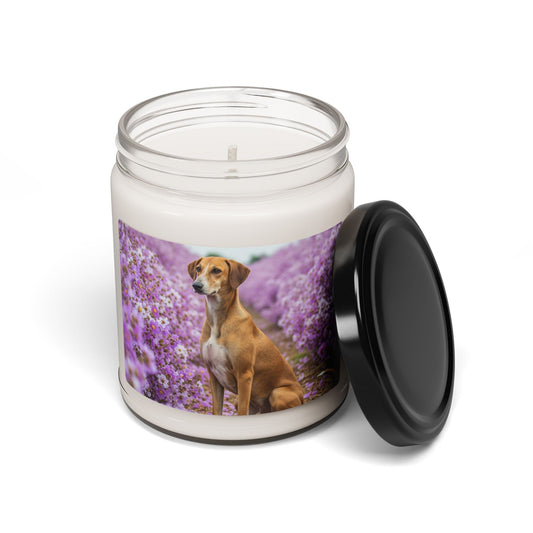 Bougie en cire de soja – Bougie parfumée en pot