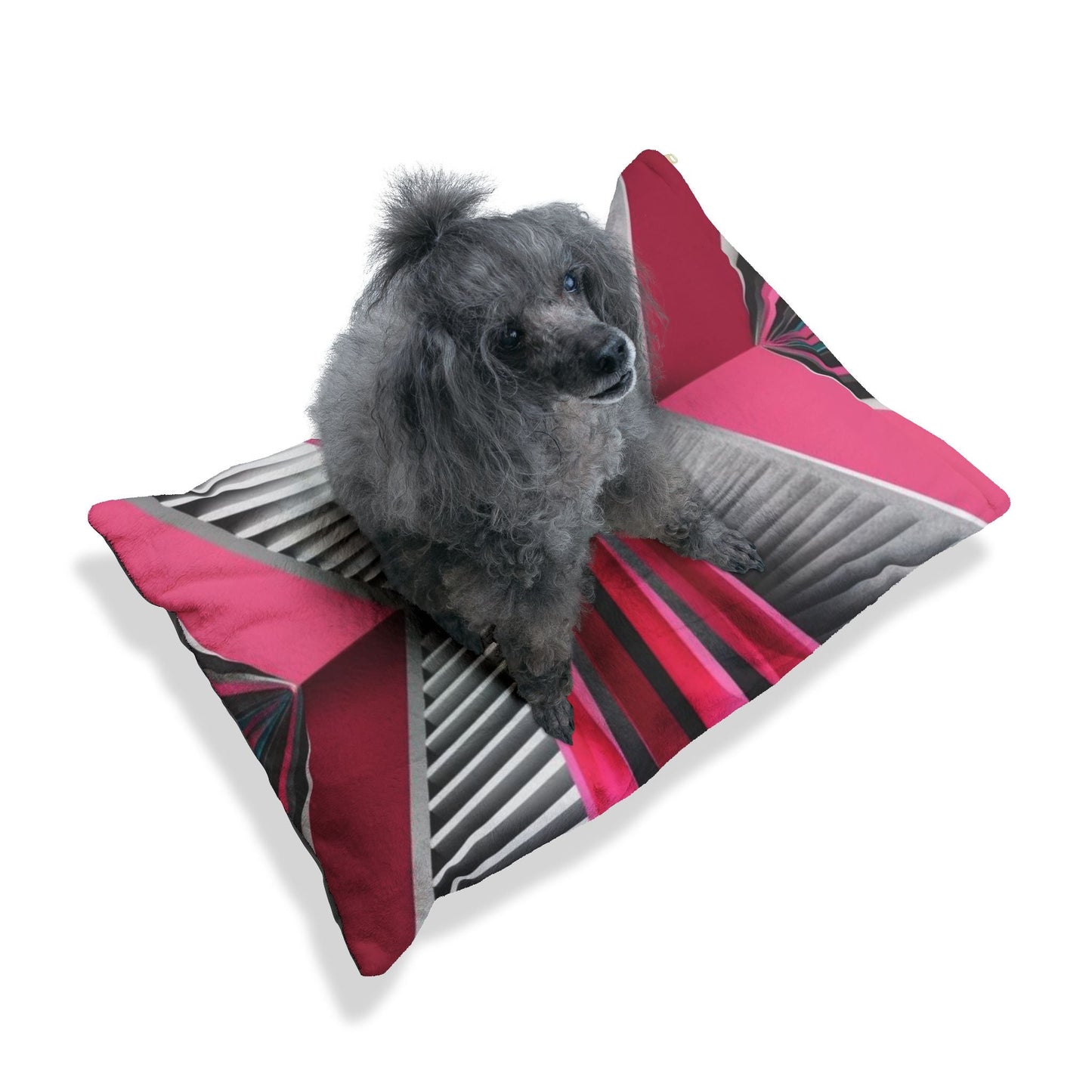 Lit pour animaux – Lit moelleux pour chien, 3 tailles disponibles