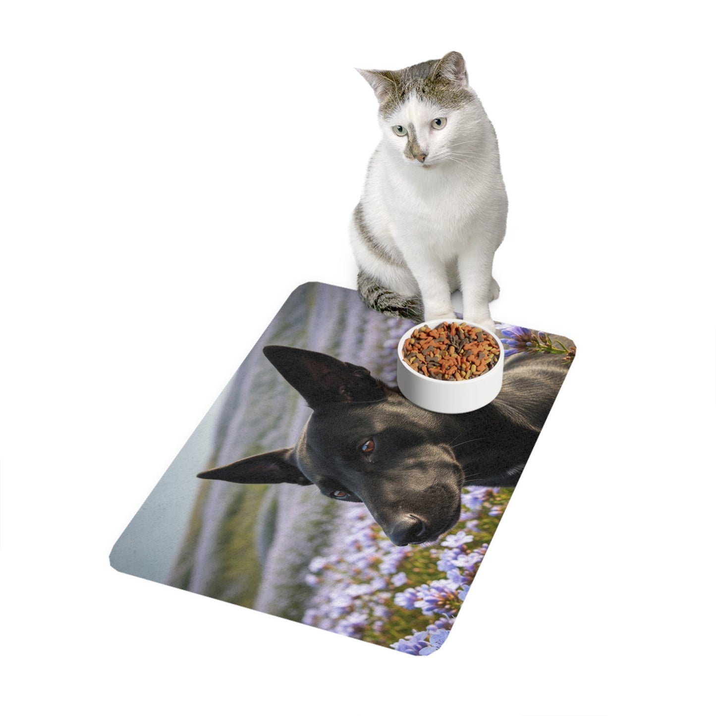 Non-Slip Pet Food Mat – Waterproof Feeding Mat for Dogs