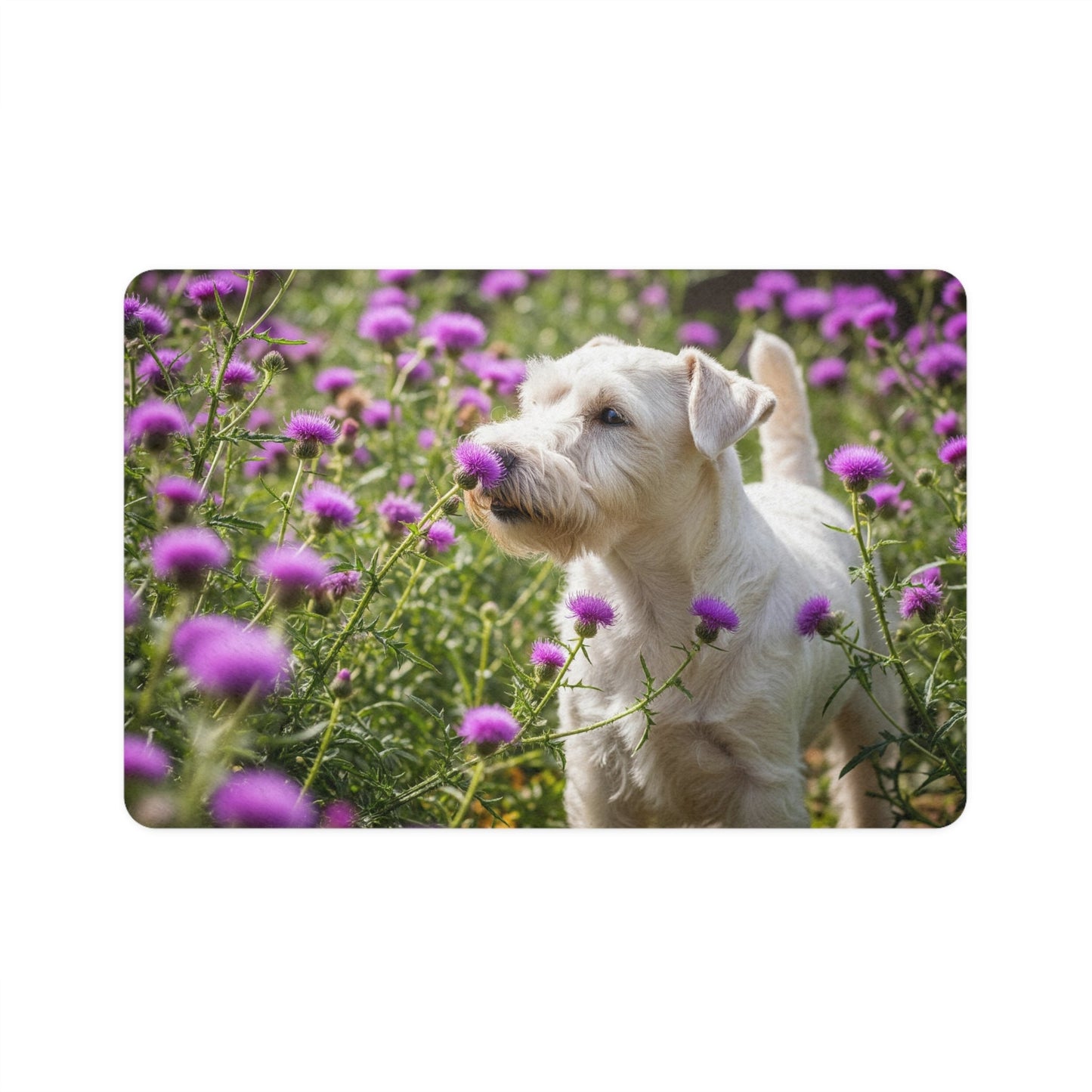 Non-Slip Pet Food Mat – Waterproof Feeding Mat for Dogs