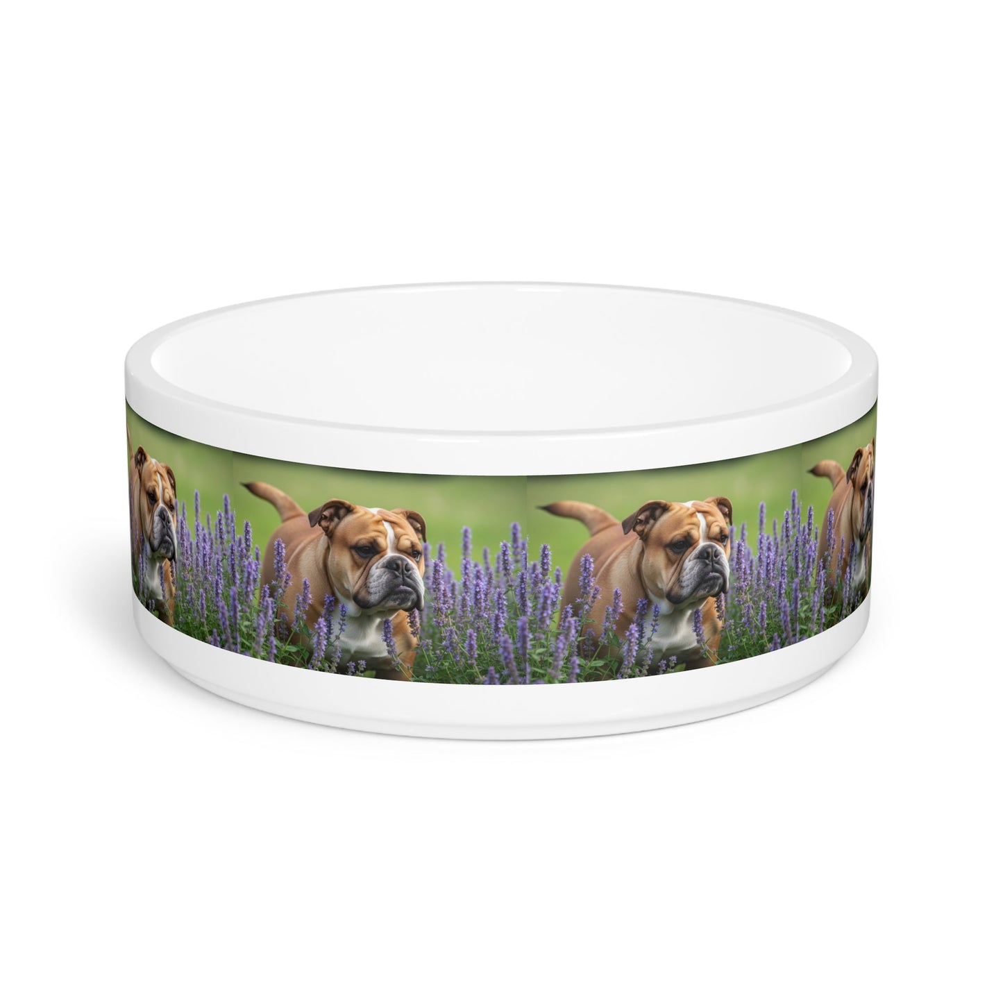 Ceramic Pet Bowl – 16 oz Dog Feeding Bowl