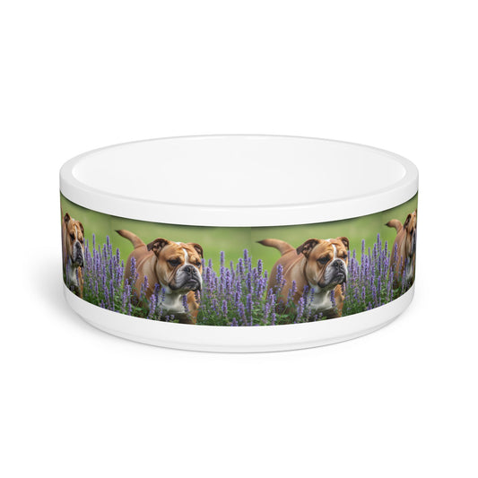Ceramic Pet Bowl – 16 oz Dog Feeding Bowl