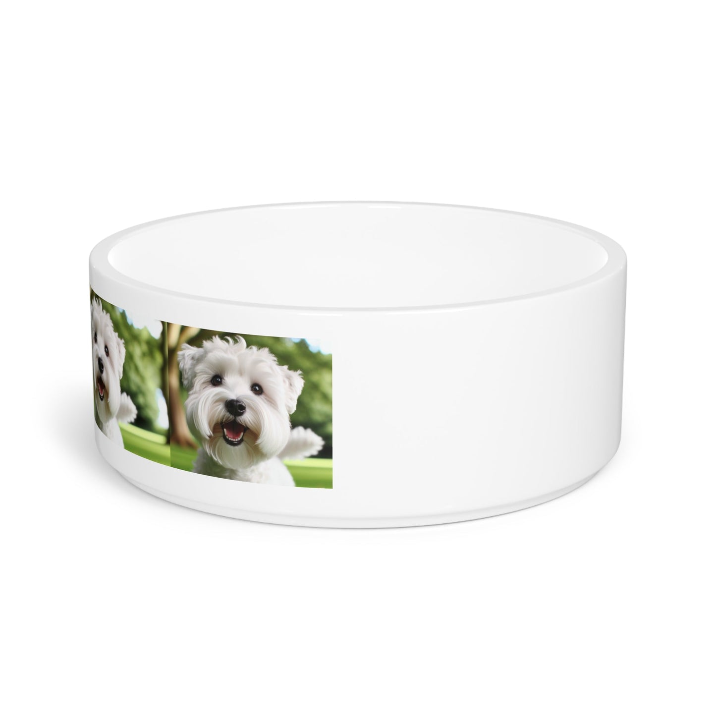 Ceramic Pet Bowl – 16 oz Dog Feeding Bowl