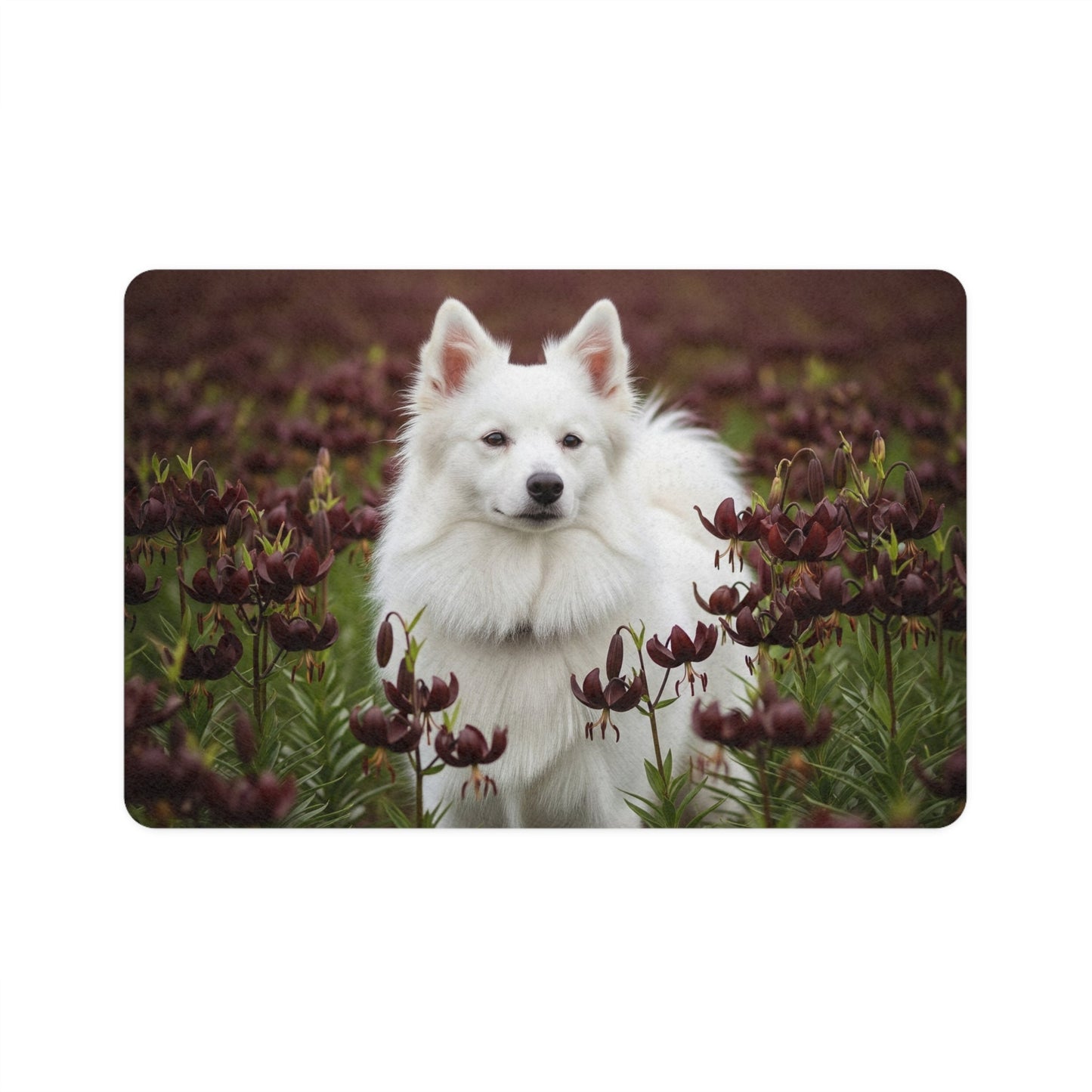 Non-Slip Pet Food Mat – Waterproof Feeding Mat for Dogs