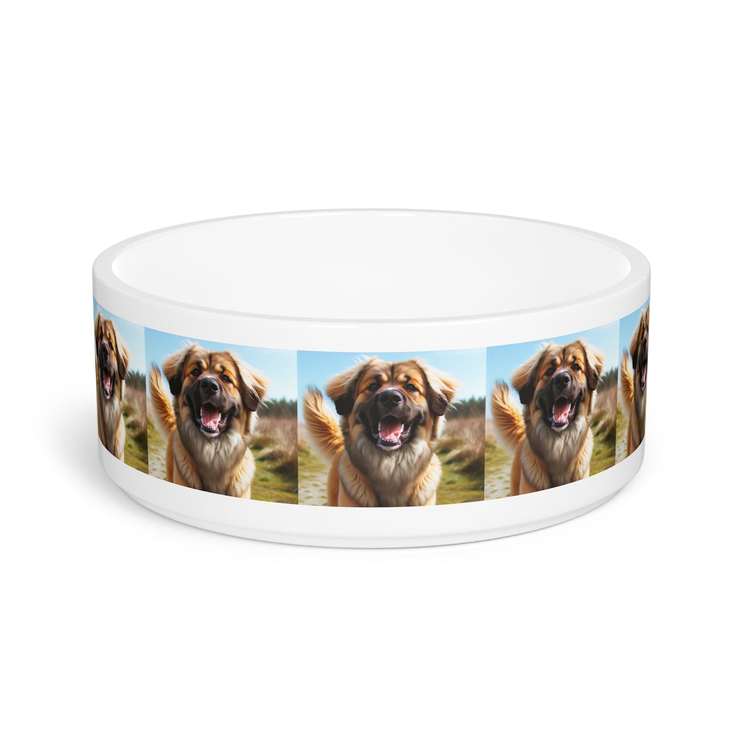 Ceramic Pet Bowl – 16 oz Dog Feeding Bowl