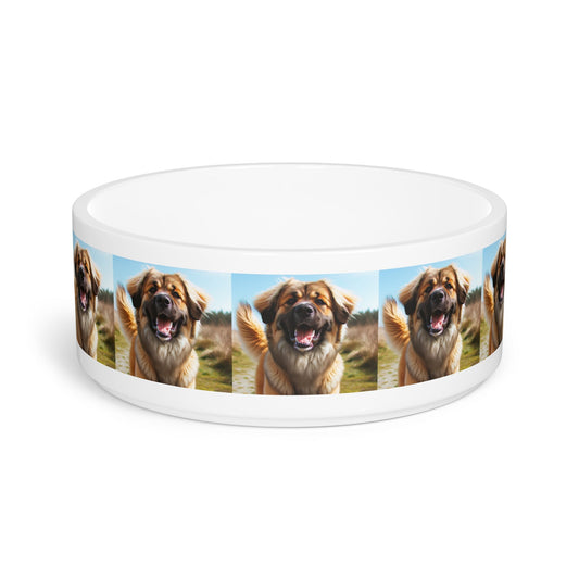Ceramic Pet Bowl – 16 oz Dog Feeding Bowl