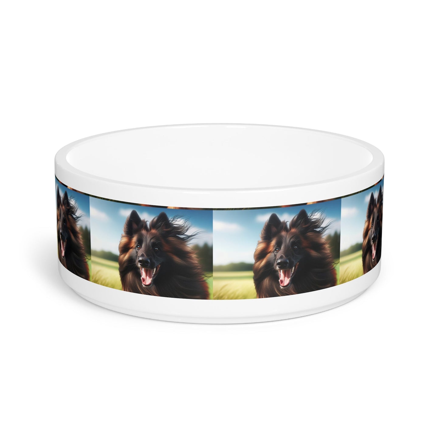 Ceramic Pet Bowl – 16 oz Dog Feeding Bowl