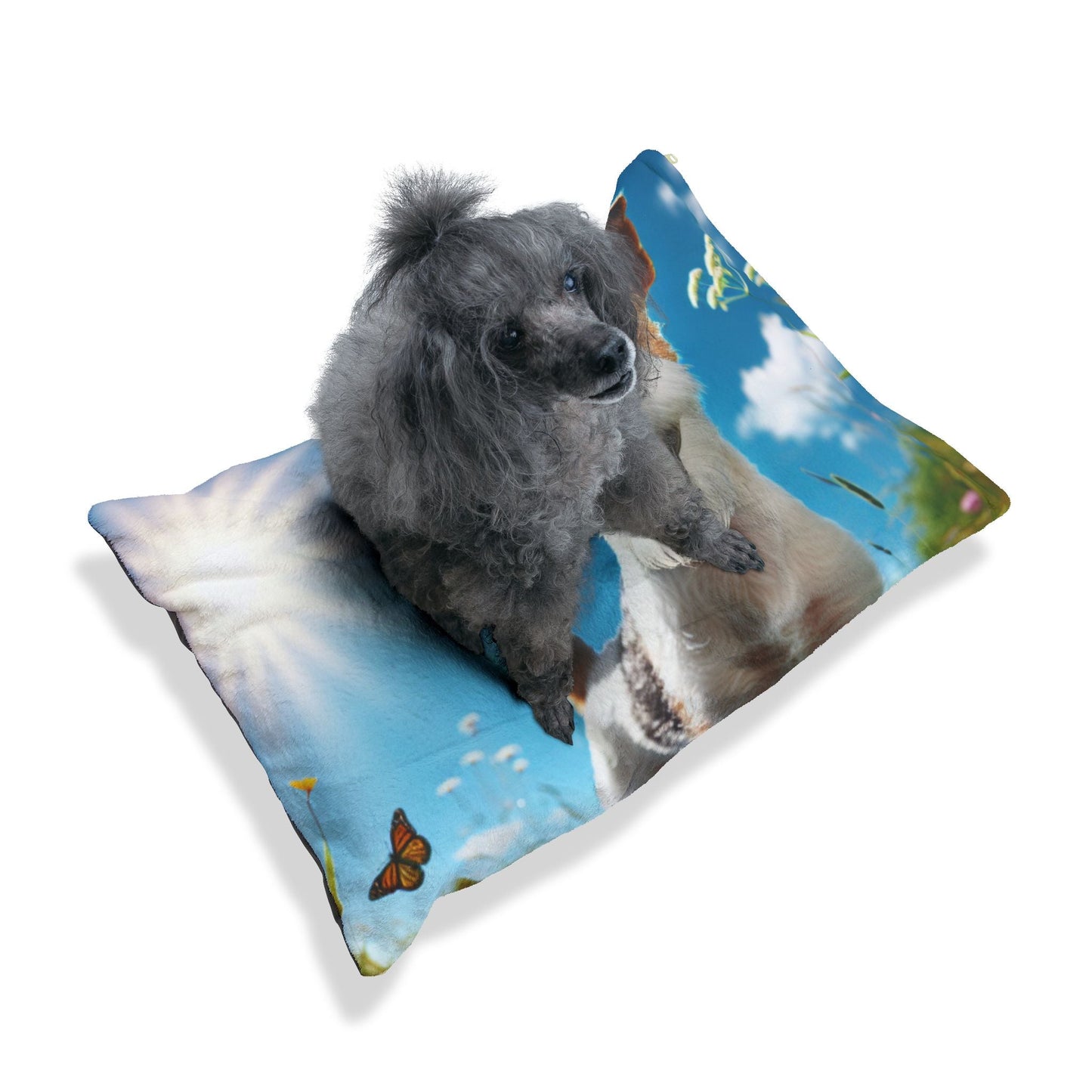 Pet Bed – Plush Dog Bed, 3 Size Options