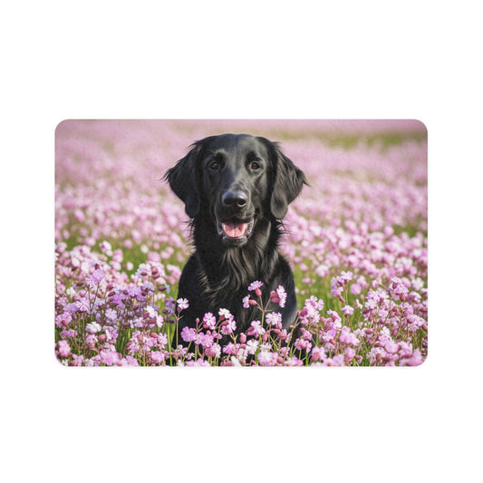 Non-Slip Pet Food Mat – Waterproof Feeding Mat for Dogs