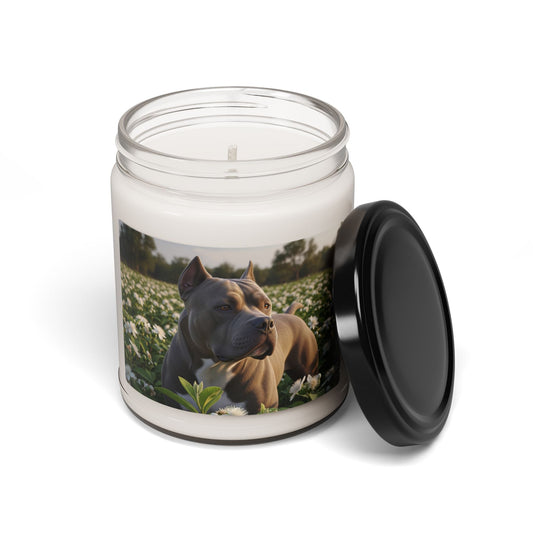 Soy Candle – Scented Jar Candle