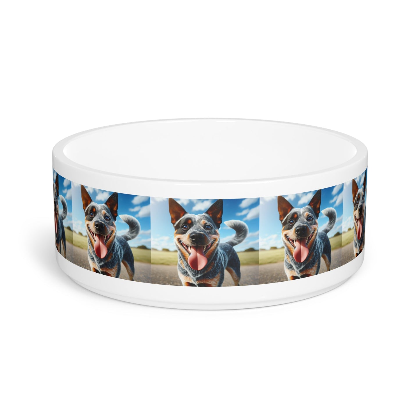 Gamelle en céramique pour animaux de compagnie – Gamelle de 47 cl pour chien