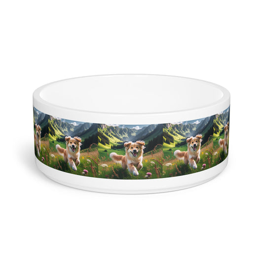 Ceramic Pet Bowl – 16 oz Dog Feeding Bowl