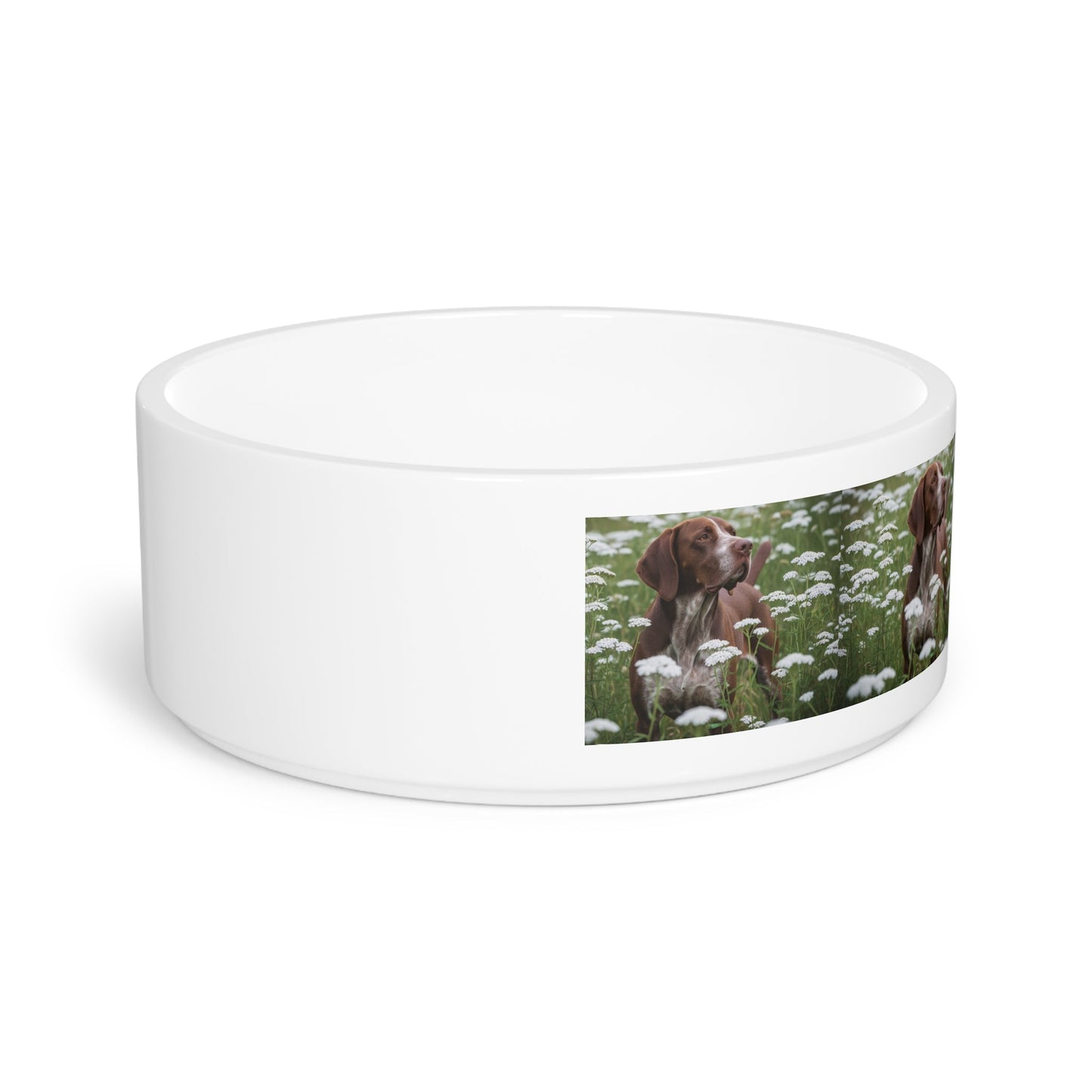 Ceramic Pet Bowl – 16 oz Dog Feeding Bowl