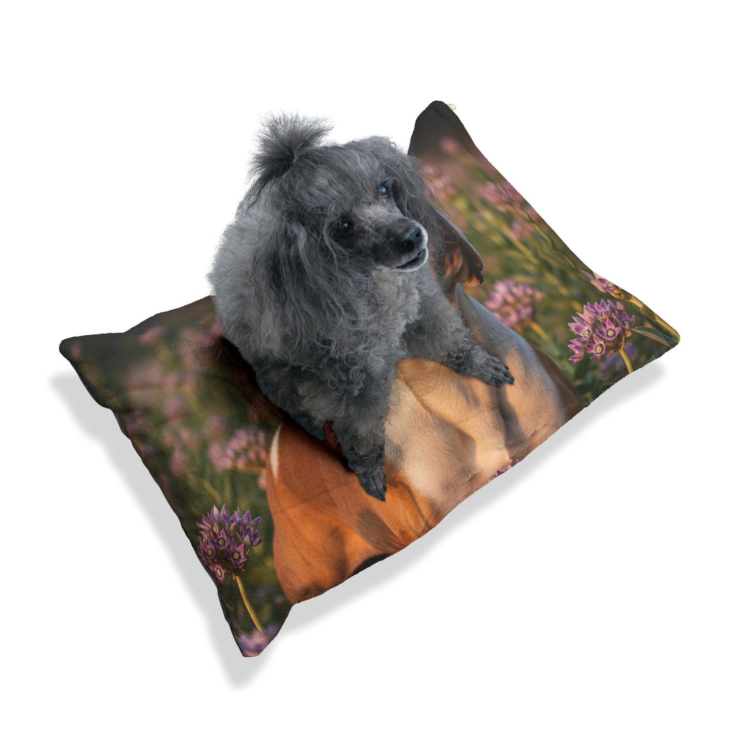 Lit pour animaux de compagnie – Lit douillet pour chien, 3 tailles disponibles