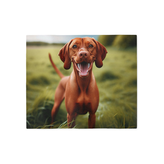 Sweatshirt Blanket – Plush Fleece Throw, 2 Size Options