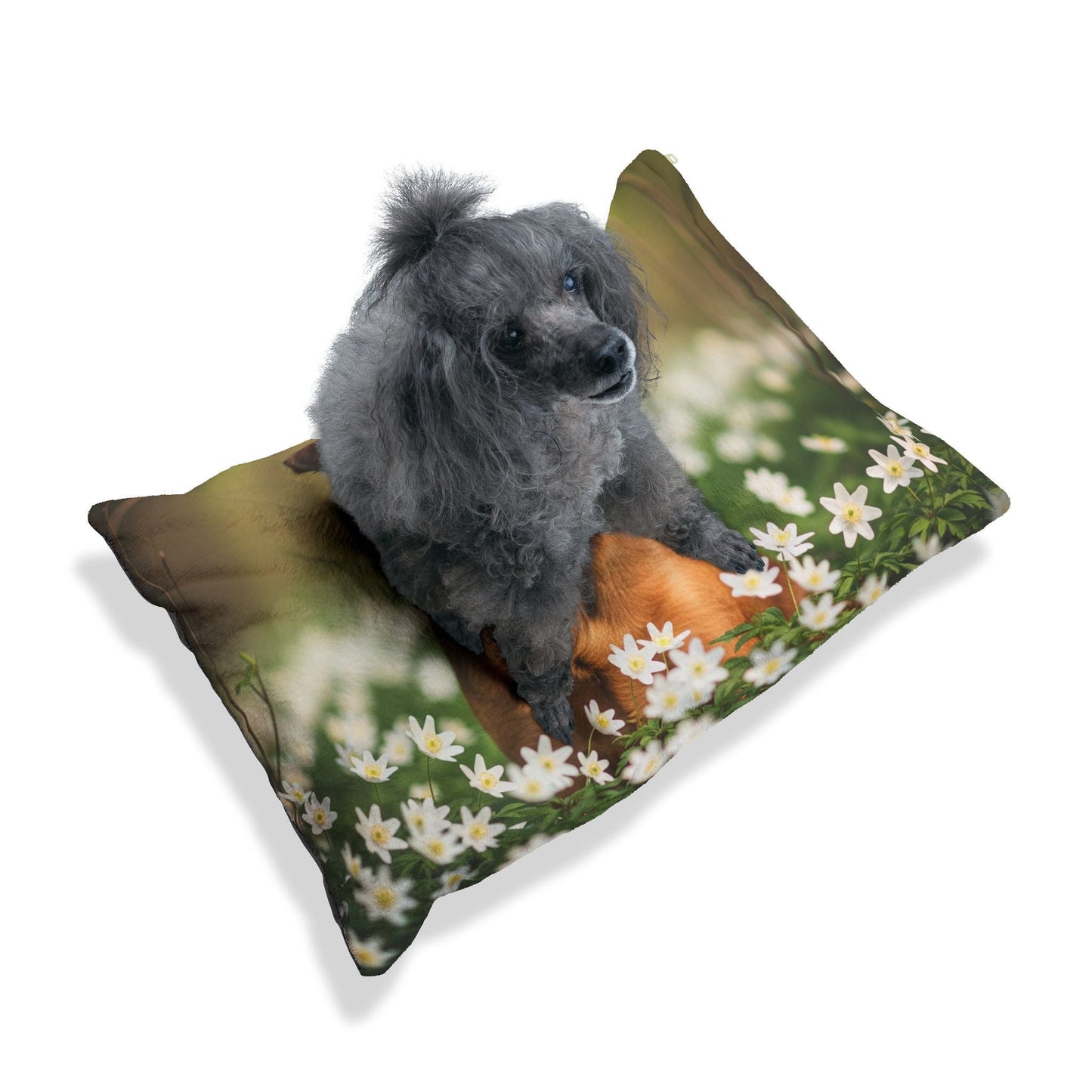 Lit pour animaux de compagnie – Lit douillet pour chien, 3 tailles disponibles