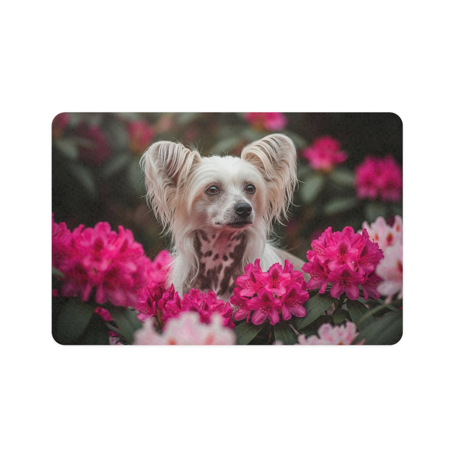 Non-Slip Pet Food Mat – Waterproof Feeding Mat for Dogs