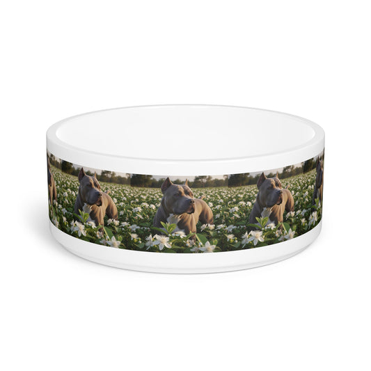 Ceramic Pet Bowl – 16 oz Dog Feeding Bowl