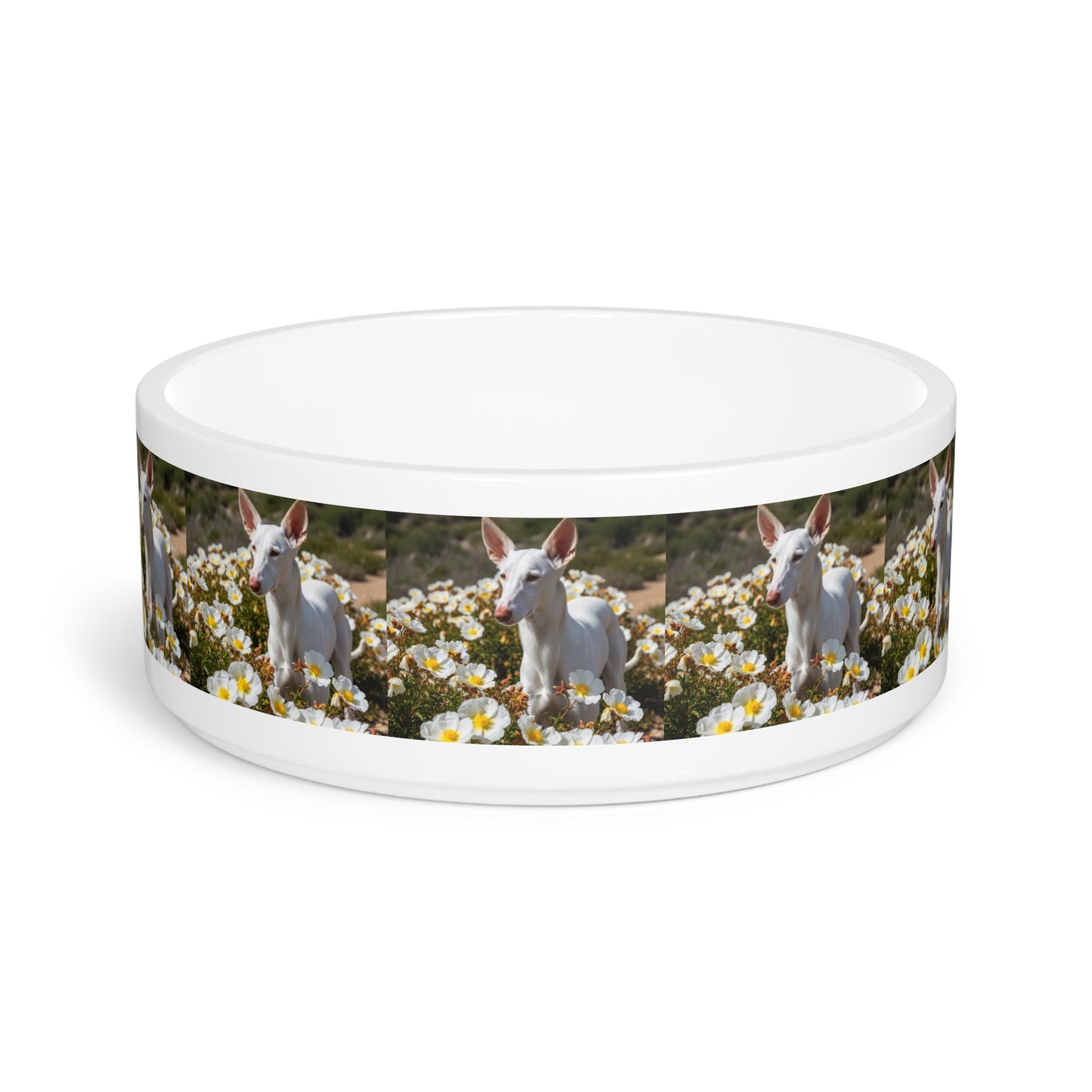Ceramic Pet Bowl – 16 oz Dog Feeding Bowl