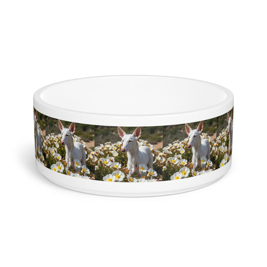 Ceramic Pet Bowl – 16 oz Dog Feeding Bowl