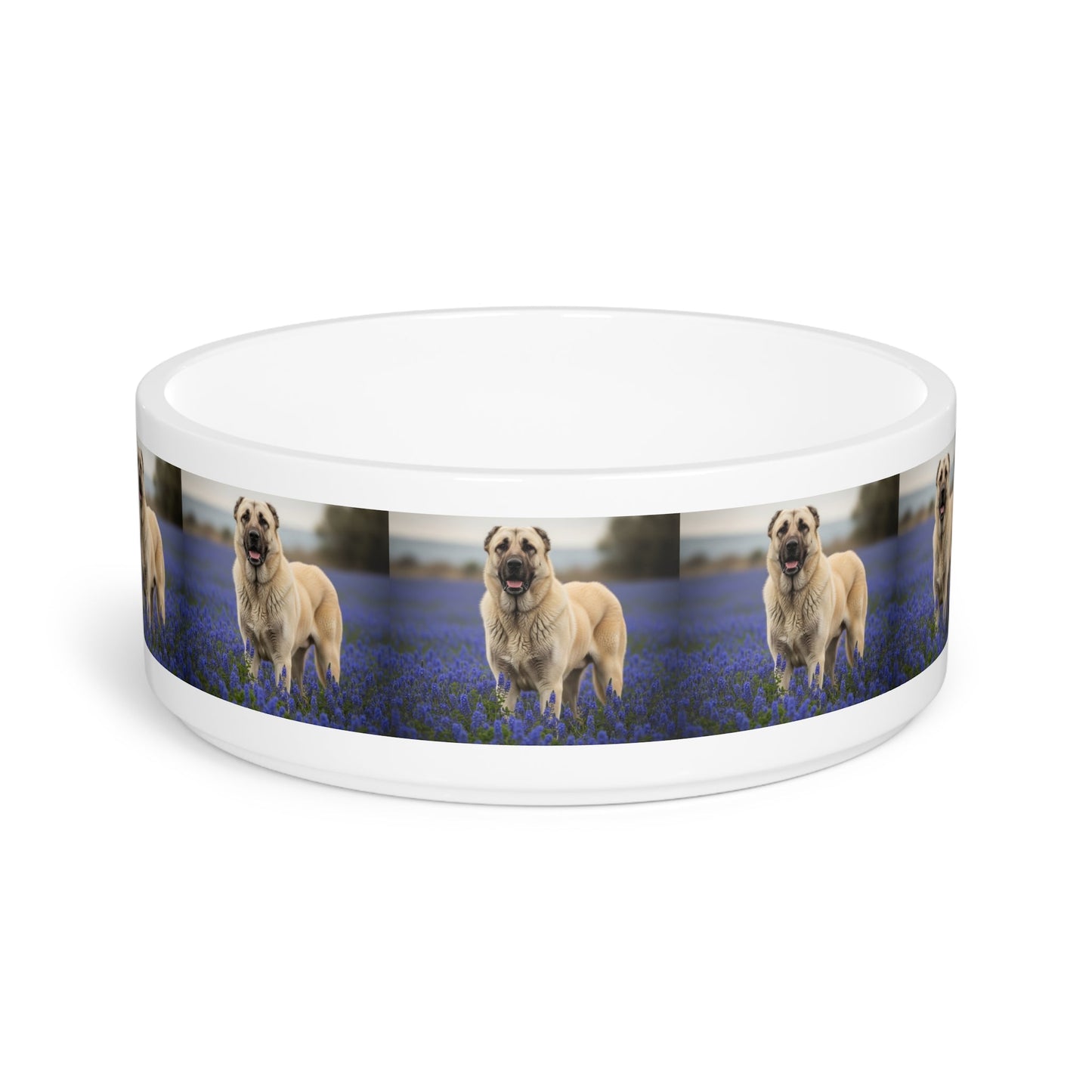 Ceramic Pet Bowl – 16 oz Dog Feeding Bowl
