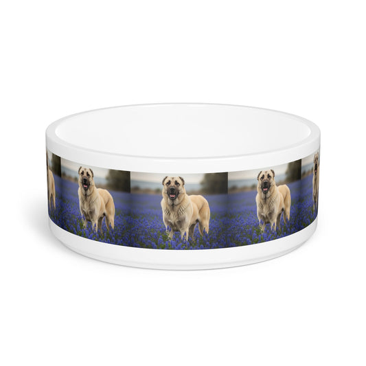 Ceramic Pet Bowl – 16 oz Dog Feeding Bowl