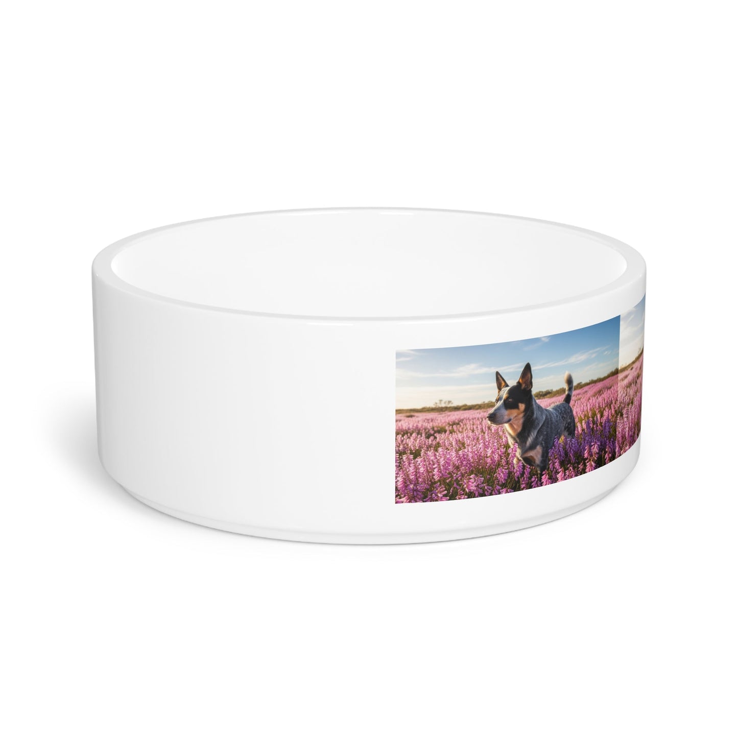 Ceramic Pet Bowl – 16 oz Dog Feeding Bowl