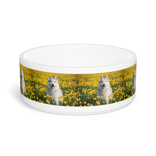 Ceramic Pet Bowl – 16 oz Dog Feeding Bowl