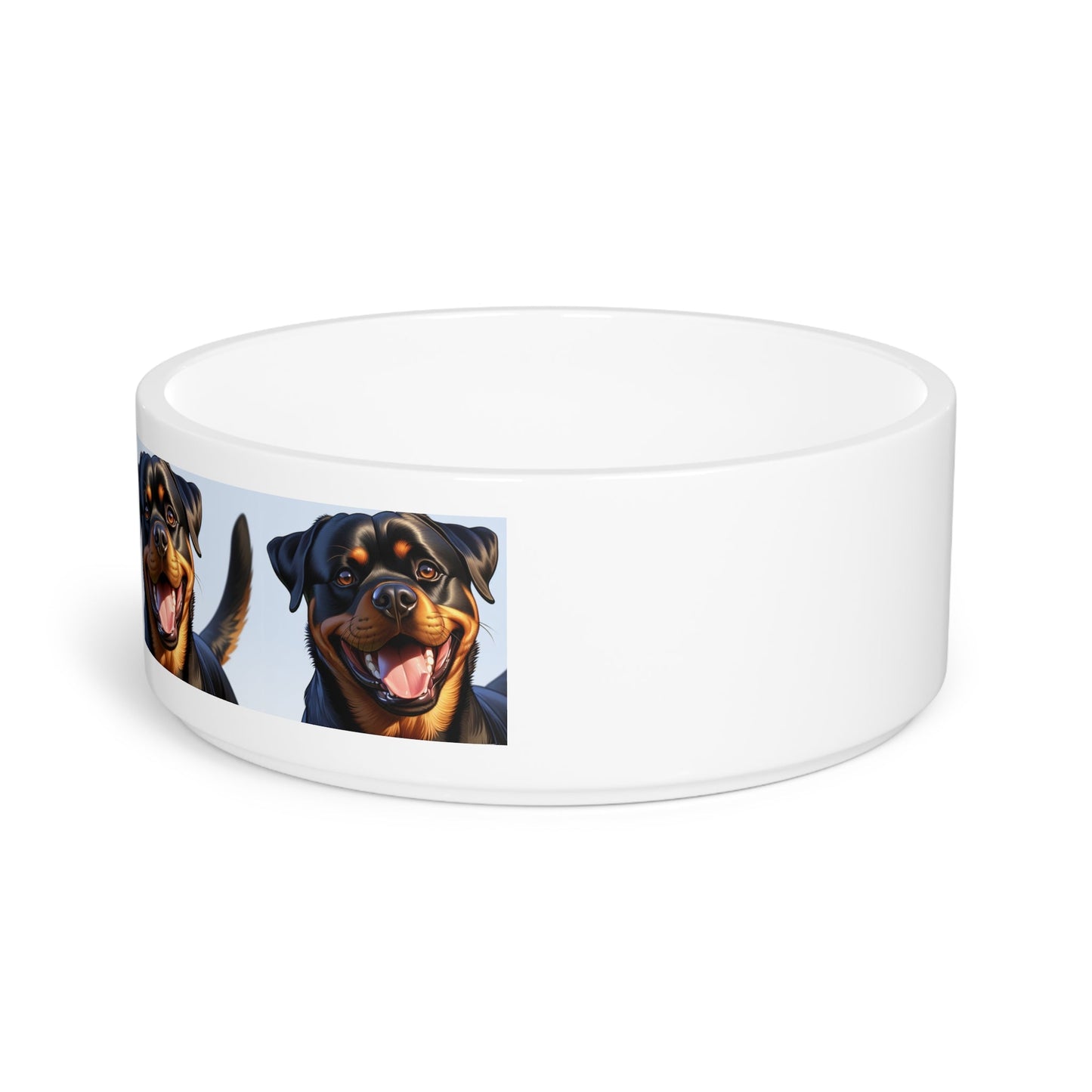 Ceramic Pet Bowl – 16 oz Dog Feeding Bowl