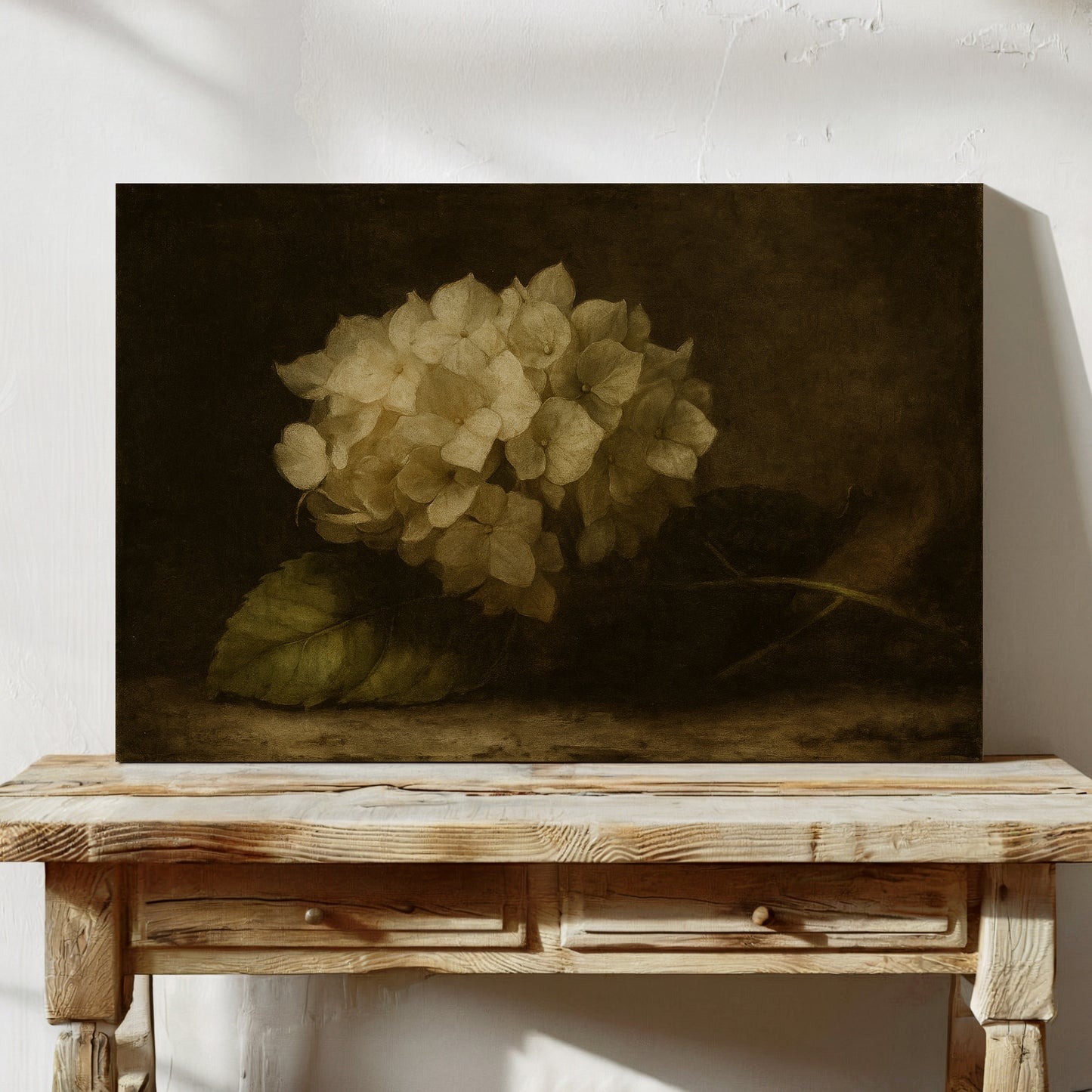 Verblasste Eleganz Hortensie