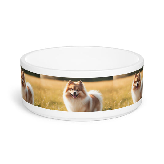 Ceramic Pet Bowl – 16 oz Dog Feeding Bowl