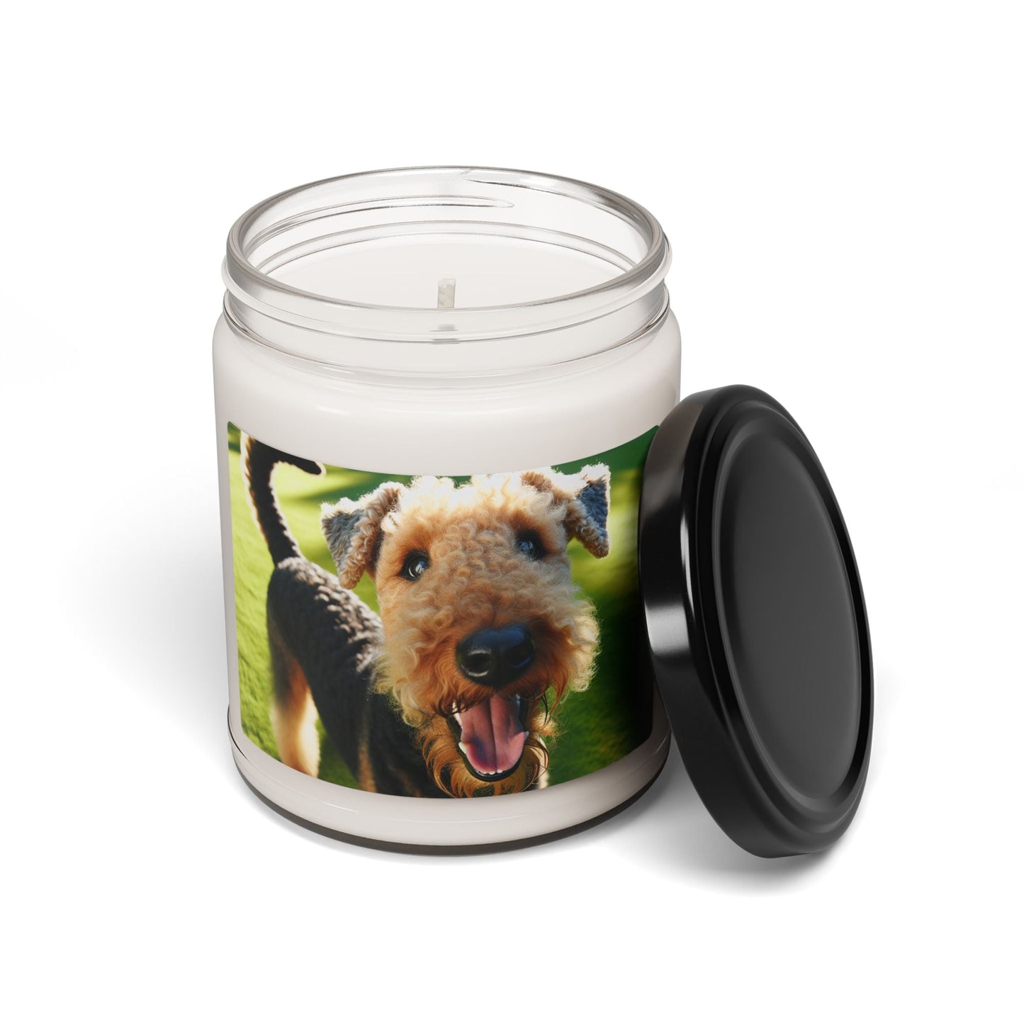 Soy Candle – Scented Jar Candle