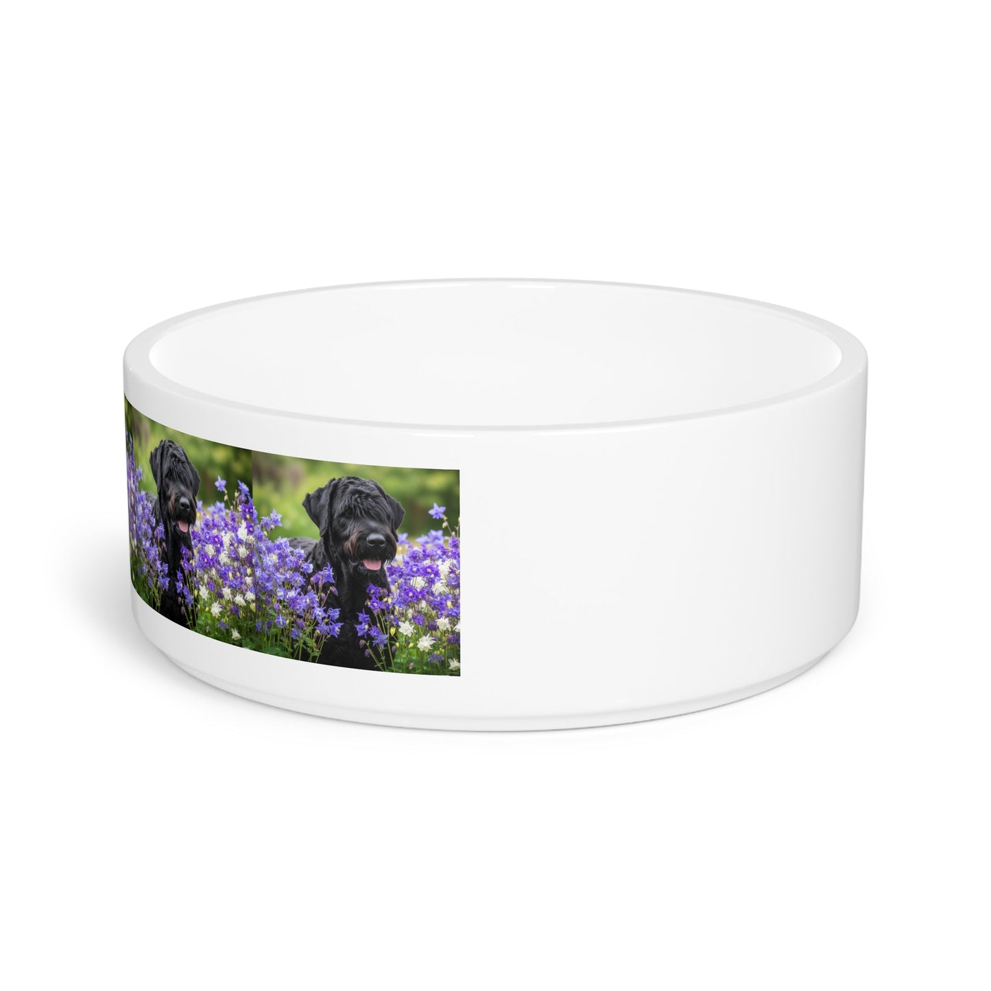 Ceramic Pet Bowl – 16 oz Dog Feeding Bowl