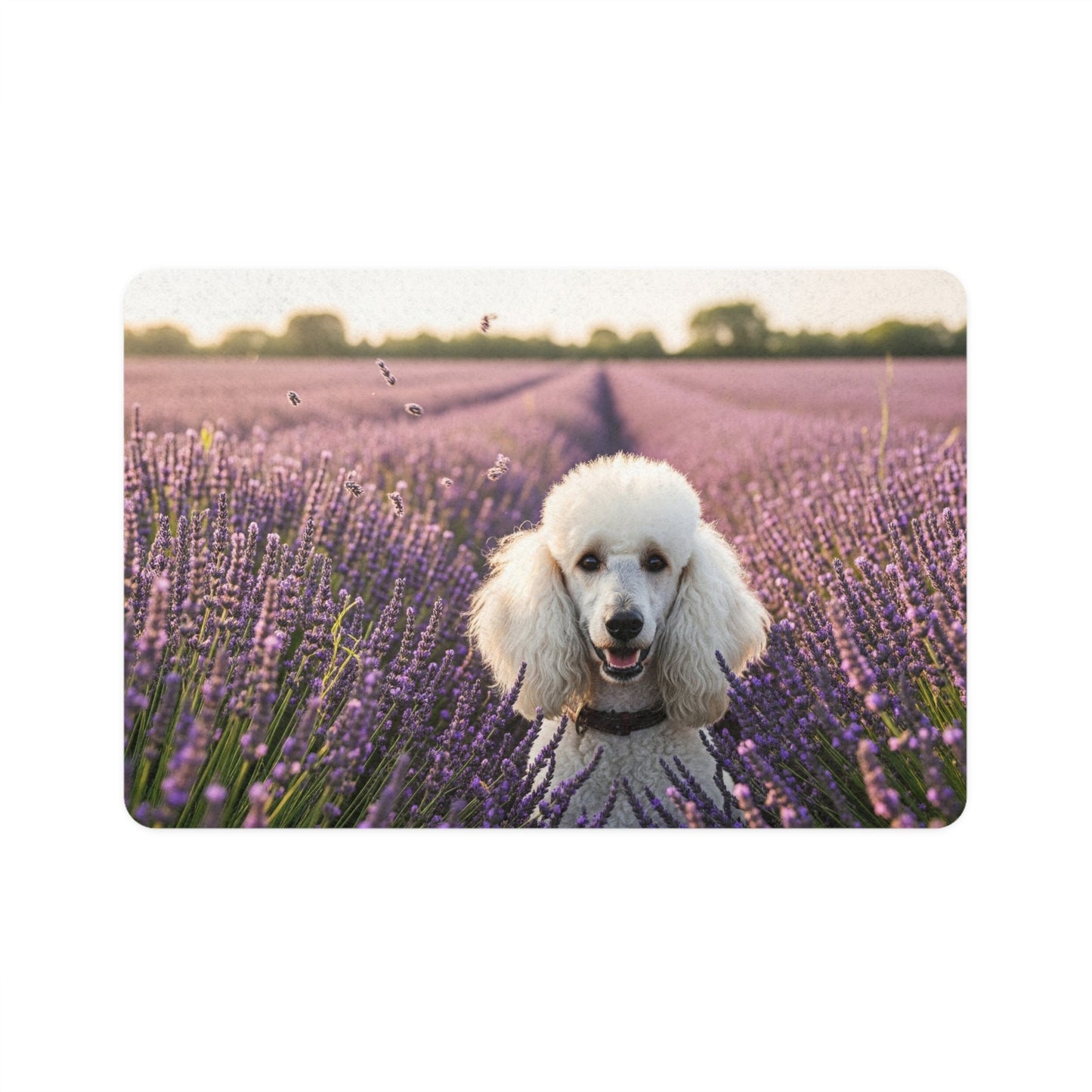 Non-Slip Pet Food Mat – Waterproof Feeding Mat for Dogs